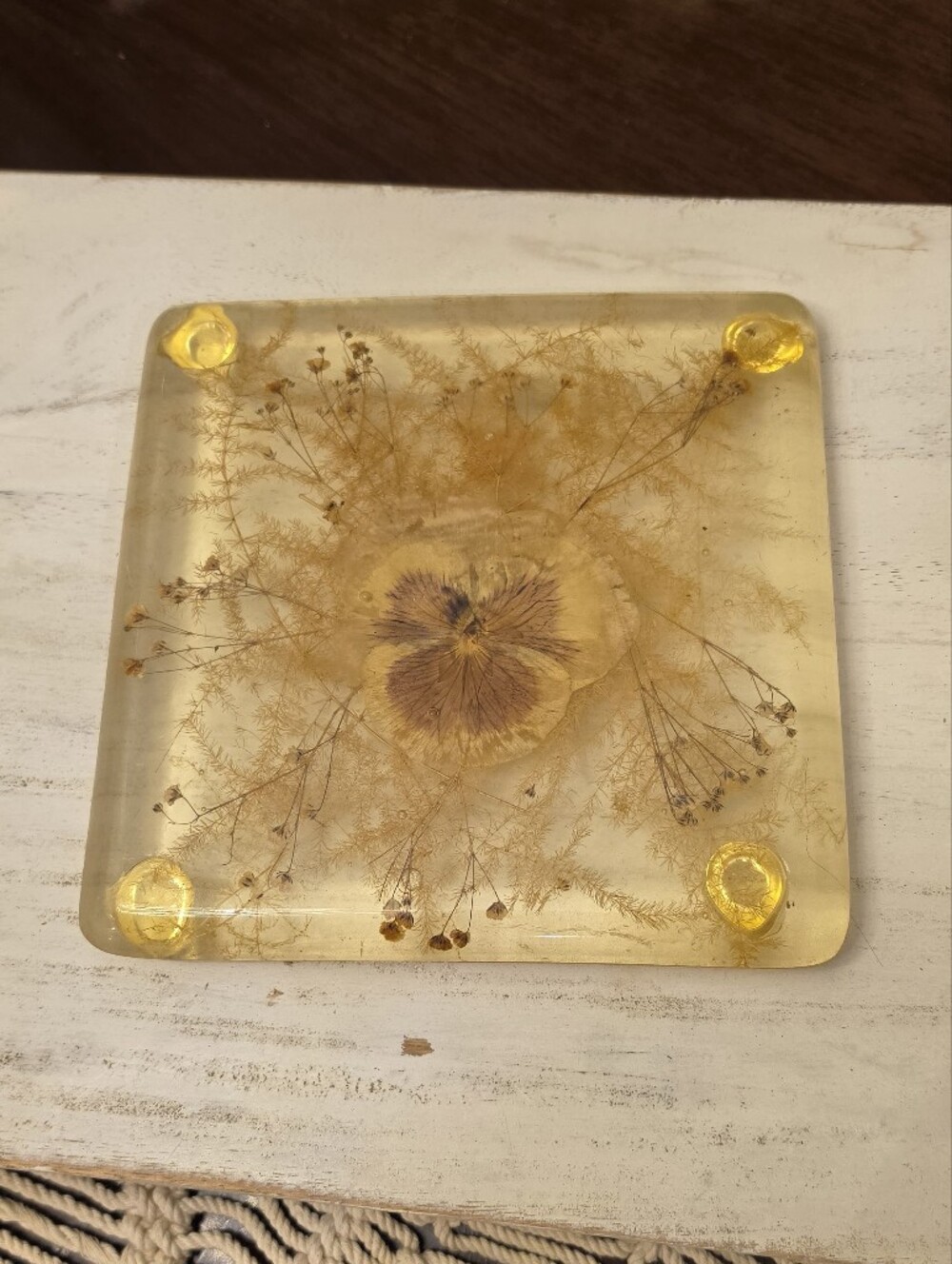Vintage Lucite Resin Pressed Flower Trivet Square Footed Hot Plate MCM 7" Retro